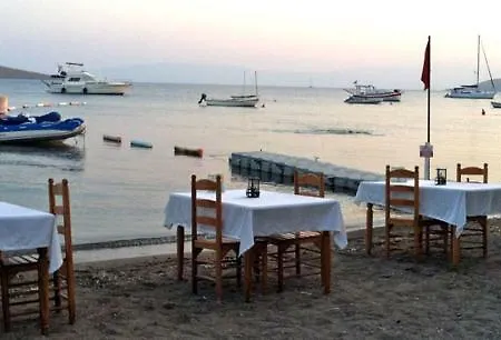 Tamarisc Hotel 4*